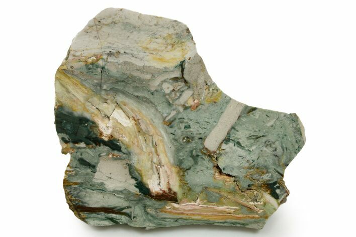 Gary Green Jasper (Larsonite) Bog Wood Slab - Oregon #377737